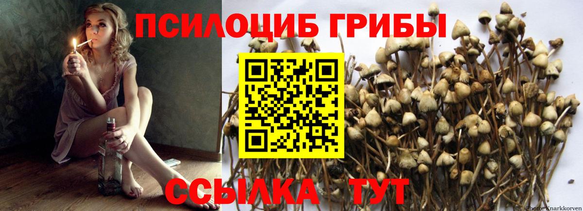 Алушта  Псилоцибиновые грибы MAGIC MUSHROOMS  Вход с VPN 