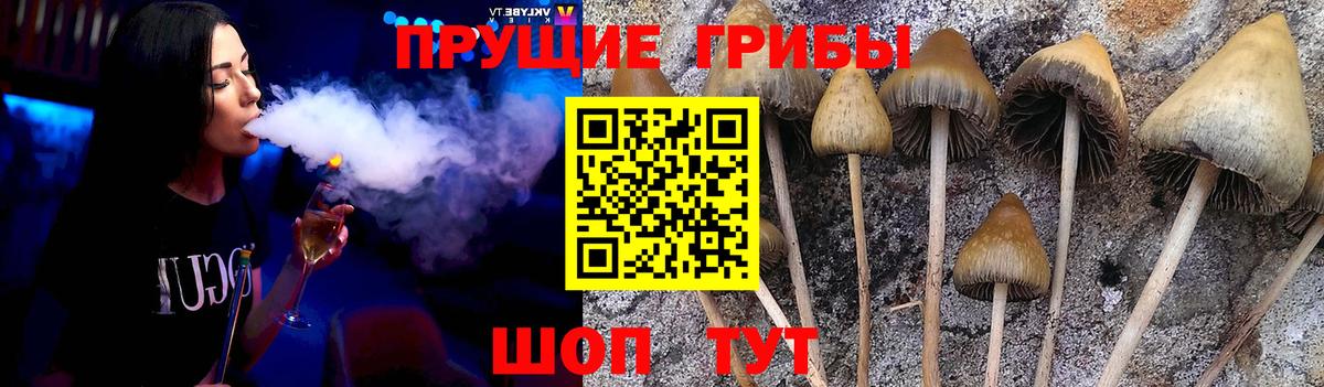 Псилоцибиновые грибы ЛСД Алушта